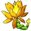 PVZ Fusion icon